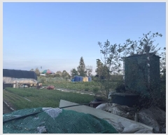  2024Ÿ��562653 ��õ ������ ���̵� 510-43       ����(��1)���