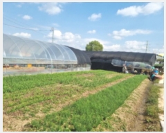  2024Ÿ��562653 ��õ ������ ���̵� 510-43       ����(��1)���