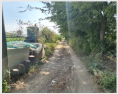  2024Ÿ��562653 ��õ ������ ���̵� 510-43       ����(��1)���