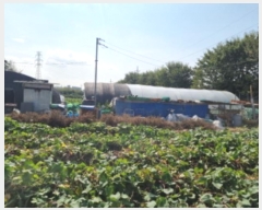  2024Ÿ��562653 ��õ ������ ���̵� 510-43       ����(��1)���