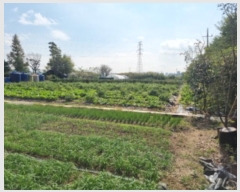  2024Ÿ��562653 ��õ ������ ���̵� 510-43       ����(��1)���