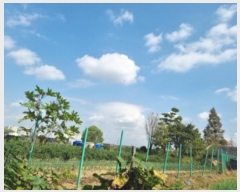  2024Ÿ��562653 ��õ ������ ���̵� 510-43       ����(��1)���