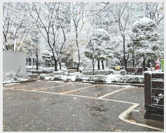  2024Ÿ��572704 ��õ ����Ȧ�� �Ҽ��� 120, 113�� 1��103ȣ (���͵�,����.ǳ������Ʈ)    ����Ʈ���