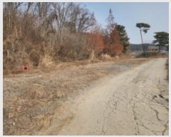  2024Ÿ��574137  ���������