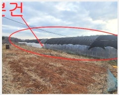  2024Ÿ��3291  �����