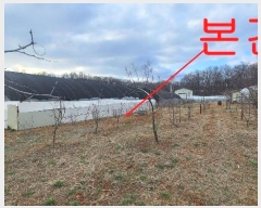  2024Ÿ��3291  �����