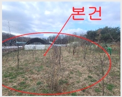  2024Ÿ��3291  �����