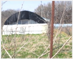  2024Ÿ��3291  �����