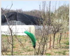  2024Ÿ��3291  �����