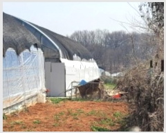  2024Ÿ��3291  �����