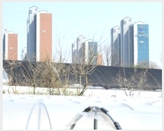  2024Ÿ��3291  �����