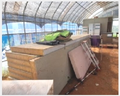  2024Ÿ��3291  �����