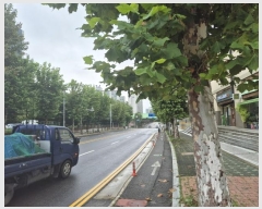  2024Ÿ11643 õ   180, 󰡵 2237ȣ (,켺Ʈ)    ,繫ǰ