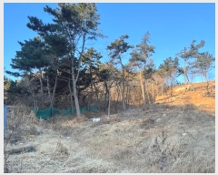  2024Ÿ��16945  �Ӿ߰��