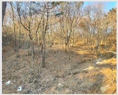  2024Ÿ��16945  �Ӿ߰��