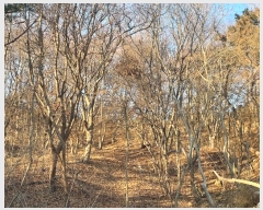  2024Ÿ��16945  �Ӿ߰��