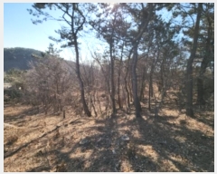  2024Ÿ��16945  �Ӿ߰��