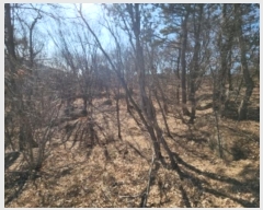  2024Ÿ��16945  �Ӿ߰��