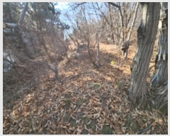  2024Ÿ��16945  �Ӿ߰��