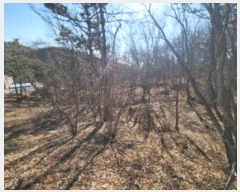  2024Ÿ��16945  �Ӿ߰��