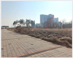  2024Ÿ502873 õ ߱ ߻굿 1938-3       ()