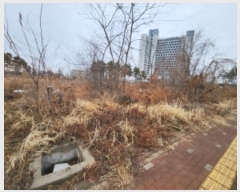  2024Ÿ502873 õ ߱ ߻굿 1938-3       ()