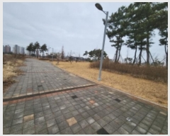  2024Ÿ502873 õ ߱ ߻굿 1938-3       ()