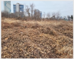  2024Ÿ502873 õ ߱ ߻굿 1938-3       ()