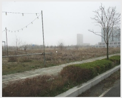  2024Ÿ��513415 ��õ �߱� ��ϵ� 1272-15       ����(����)���