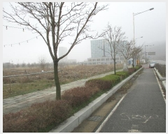  2024Ÿ��513415 ��õ �߱� ��ϵ� 1272-15       ����(����)���