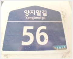  2024Ÿ528868  ټ()