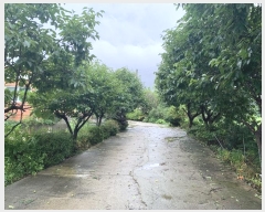  2024Ÿ544907 õ ȭ  ο 476      ð