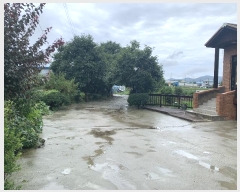  2024Ÿ544907 õ ȭ  ο 476      ð