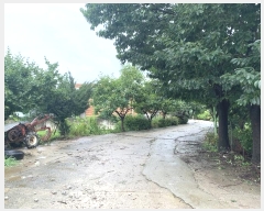  2024Ÿ544907 õ ȭ  ο 476      ð