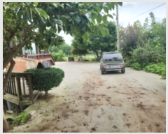  2024Ÿ544907 õ ȭ  ο 476      ð