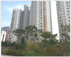  2024Ÿ559374 õ  âȯ 200, 108 151502ȣ (â,ȣݺ)    Ʈ