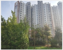  2024Ÿ559374 õ  âȯ 200, 108 151502ȣ (â,ȣݺ)    Ʈ