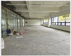  2024Ÿ564703 õ  ܺ 97-7, 2 203ȣ (ձ浿,Ÿ)    ,繫ǰ