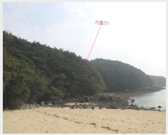  2024Ÿ��566921  �Ӿ߰��