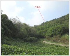  2024Ÿ��566921  �Ӿ߰��