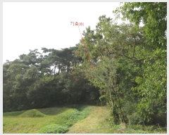  2024Ÿ��566921  �Ӿ߰��