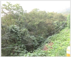  2024Ÿ��566921  �Ӿ߰��