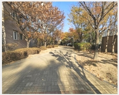  2024Ÿ��574182 ��õ ������ �۵����з�51���� 136, 205�� 16��1603ȣ (�۵���,�۵�ĳ�����ظ��)    ����Ʈ���