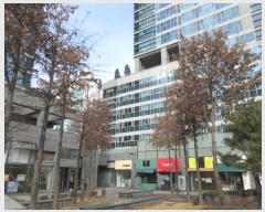  2024Ÿ��581999 ��õ ������ �����þƴ�� 60, 4��201-404ȣ (�۵���,�۵�Ǫ���������帶ũ2����)     ���ǽ��ڰ��