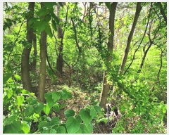  2024Ÿ��5273 ��õ ��ȭ�� ������ �Ż︮ ��22-1      ����(�Ӿ�)���