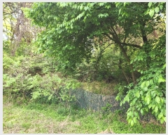  2024Ÿ��5273 ��õ ��ȭ�� ������ �Ż︮ ��22-1      ����(�Ӿ�)���