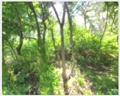  2024Ÿ��5273 ��õ ��ȭ�� ������ �Ż︮ ��22-1      ����(�Ӿ�)���