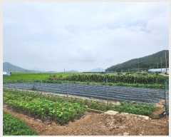  2024Ÿ��9107 ��õ ��ȭ�� ������ �簩�� 937-2      ����(����)���