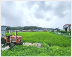  2024Ÿ��9107 ��õ ��ȭ�� ������ �簩�� 937-2      ����(����)���