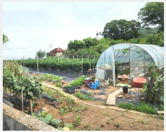  2024Ÿ��9107 ��õ ��ȭ�� ������ �簩�� 937-2      ����(����)���